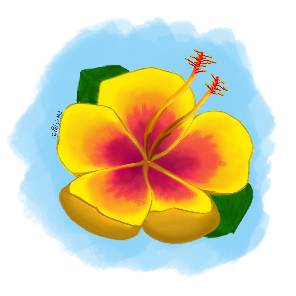 Flor de Maga Dibujada