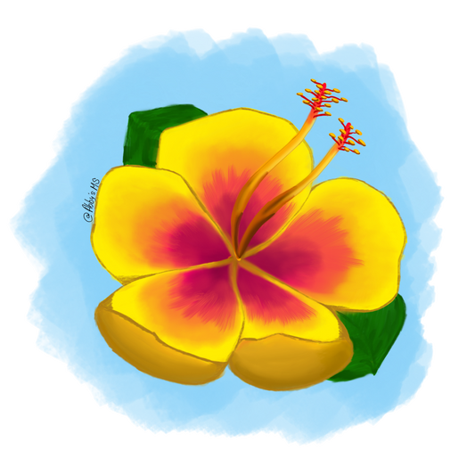 Flor de Maga Dibujada