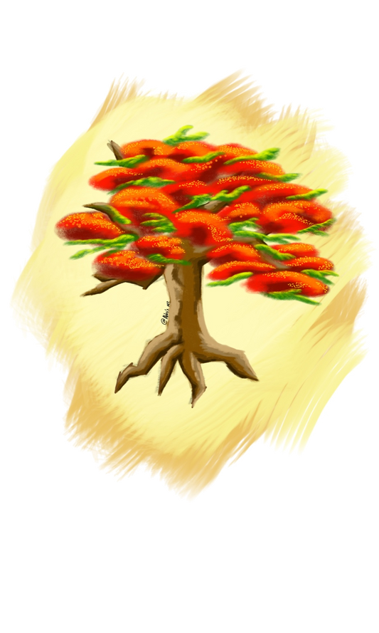 Flamboyán Dibujado